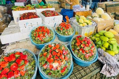 Hà Nội kiểm soát an toàn thực phẩm tại các chợ đầu mối hoa quả