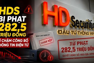 Chứng khoán HD bị phạt 282,5 triệu đồng vì chậm công bố thông tin điện tử