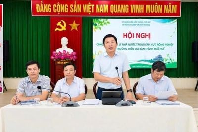 Tp. Huế: Nâng cao hiệu quả quản lý vì phát triển xanh và bền vững