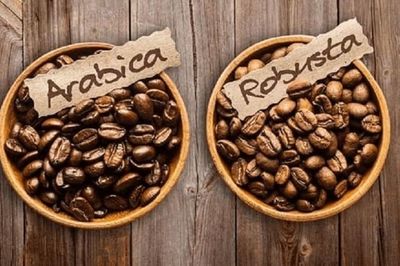 Giá cà phê hôm nay 25/7: Cà phê Arabica, Robusta hồi phục