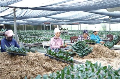 Chương Mỹ hướng tới 'vành đai xanh thông minh'