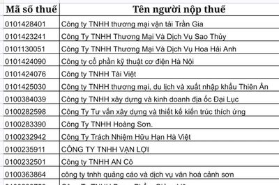 Chiến dịch làm sạch mã số thuế: Hà Nội công khai danh sách 150.461 doanh nghiệp vi phạm