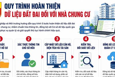Chuẩn hóa dữ liệu đất đai nhà chung cư theo quy trình mới