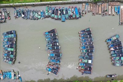Hơn 715.000 người sơ tán khi bão Noul đổ bộ Trung Quốc