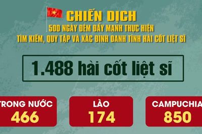 [Video] Tìm kiếm, quy tập được 1.488 hài cốt liệt sĩ