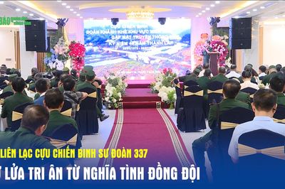 Ban liên lạc Cựu chiến binh Sư đoàn 337: Giữ lửa tri ân từ nghĩa tình đồng đội