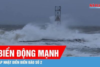 Bão số 2 gây biển động mạnh, sóng biển cao 2-4m