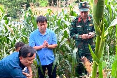 Kêu gọi nhân dân cung cấp thông tin xác minh 6 ngôi mộ nghi là mộ liệt sĩ tại xã Pa Tần