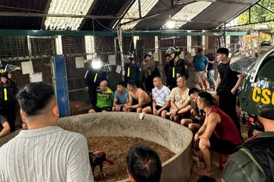 Bắt nhiều người tại điểm cá cược đá gà quy mô lớn ở Lạng Sơn