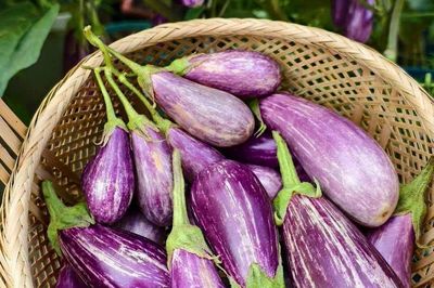 Cà tím, thực phẩm vàng giúp kiểm soát đường huyết