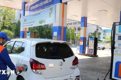 Petrolimex lý giải việc khách hàng bị hạn chế lượng mua đối với dầu diesel