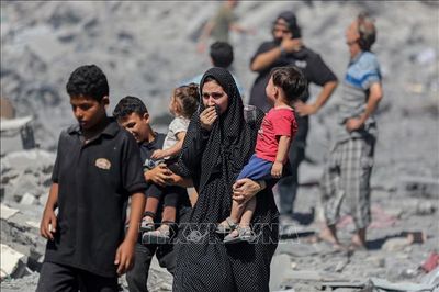 Sinh non giữa khói lửa Gaza: Hành trình giành giật sự sống của các em bé