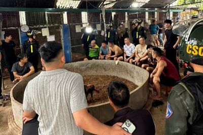 Triệt xóa điểm cá cược đá gà quy mô lớn ở Lạng Sơn