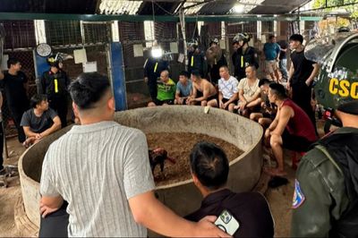 Lạng Sơn: Bắt quả tang 21 đối tượng tham gia cá cược đá gà quy mô lớn