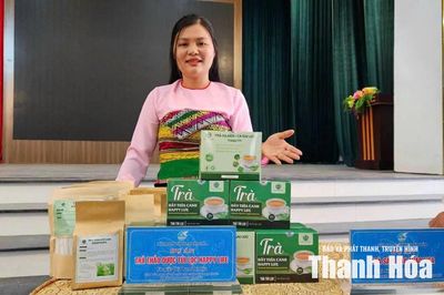 Người nâng tầm cây dược liệu bản địa