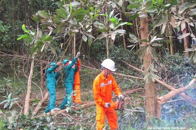 Bảo vệ hành lang an toàn lưới điện trước mùa mưa bão
