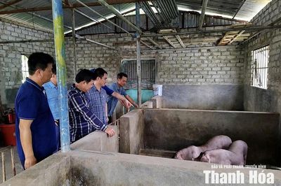 Phát triển và cải tạo giống vật nuôi