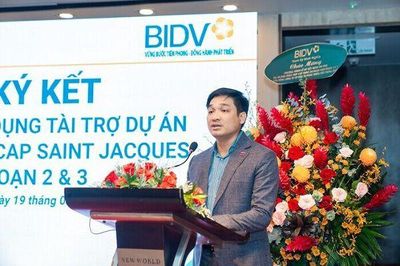 Sau loạt bán giải chấp, Chủ tịch DIC Group không còn là cổ đông lớn