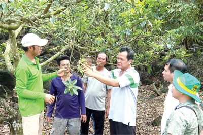 Nông dân hướng tới thị trường xuất khẩu