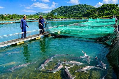 Kinh tế tập thể Lâm Đồng trước yêu cầu tái cấu trúc