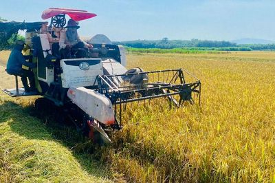 Nông dân Bắc Ruộng mạnh dạn làm giàu
