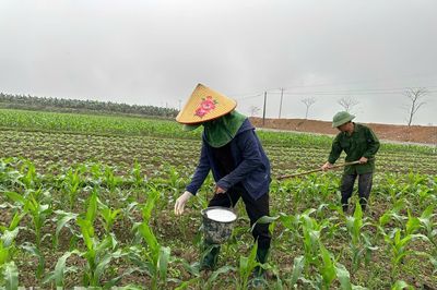 Bảo vệ và nâng cao 'sức khỏe' của đất
