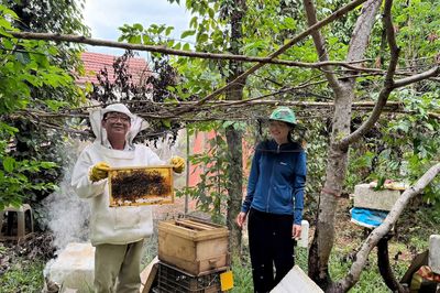 Hiệu quả mô hình nuôi ong lấy mật