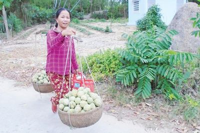 Triêng gióng giữa đời thường