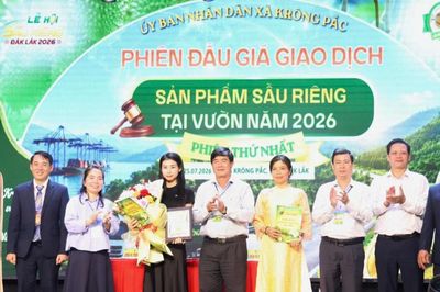 Đắk Lắk: Bước đột phá trong tiêu thụ sầu riêng với phiên đấu giá 23,8 tỷ đồng