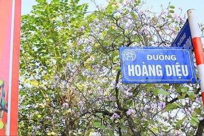 Phân luồng giao thông trên đường Hoàng Diệu từ ngày 26/7