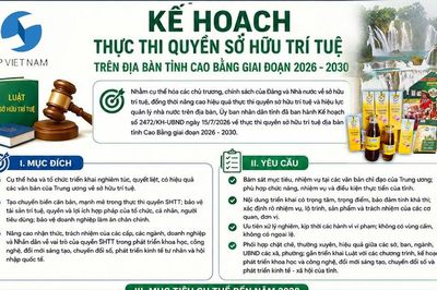 Kế hoạch thực thi quyền sở hữu trí tuệ trên địa bàn tỉnh giai đoạn 2026 - 2030