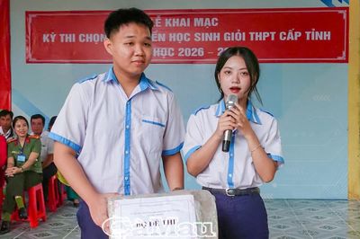 Hơn 600 thí sinh thi chọn đội tuyển học sinh giỏi THPT cấp tỉnh