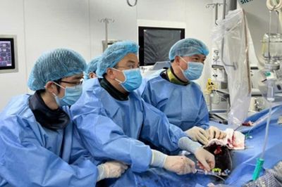 Ứng dụng tế bào gốc tự thân điều trị suy tim ở người trẻ