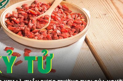 Được ví như 'kim cương đỏ' phương Đông, loại quả này mang lại 6 lợi ích đáng kinh ngạc