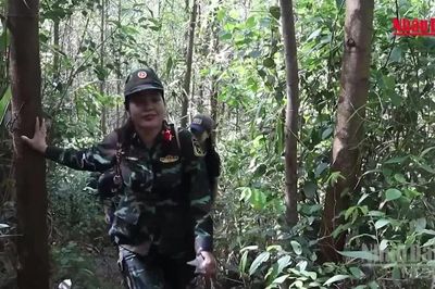 [Video] Bộ đội nữ vượt đường rừng tiếp sức lực lượng quy tập hài cốt liệt sĩ tại hang Đá Sập