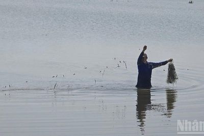 An Giang: Bảo vệ cá trong mùa cá sinh sản