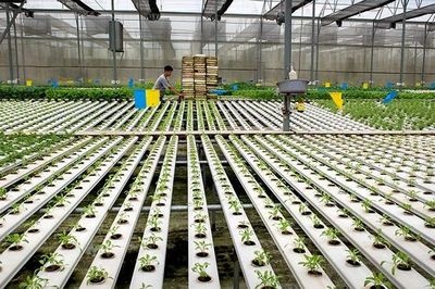 Khơi thông nguồn lực tài chính cho chuyển đổi xanh