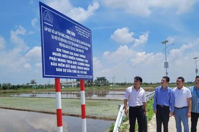 Xã Tiền Hải - Hưng Yên: Tiếp nhận và đưa vào sử dụng thiết bị cảnh báo giao thông
