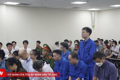 Chiêu thức tinh vi của đường dây sản xuất thực phẩm giả hơn 539 tỷ đồng tại MediPhar