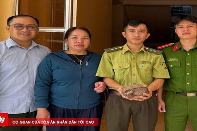 Người dân tự nguyện giao nộp cá thể tê tê Java quý hiếm