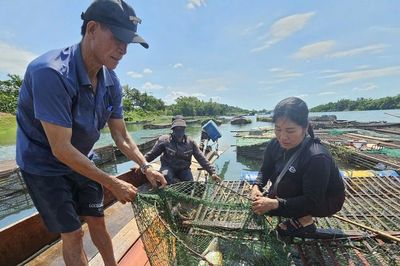 Cá lồng sông Son mang về gần 50 tỷ đồng mỗi năm, thành đặc sản vùng di sản