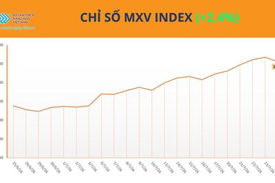 Lực mua áp đảo, MXV-Index tăng tuần thứ 5 liên tiếp