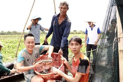 Bảo tàng sống giữa Đồng Tháp Mười có gì thu hút du khách?