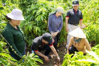Chuyển dịch sang nông nghiệp tái sinh để nâng cao giá trị cà phê Việt