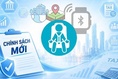Chính sách mới sẽ chính thức có hiệu lực thi hành từ tháng 8/2026