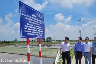 Xã Tiền Hải (Hưng Yên): Bàn giao, đưa vào sử dụng công trình cảnh báo an toàn giao thông