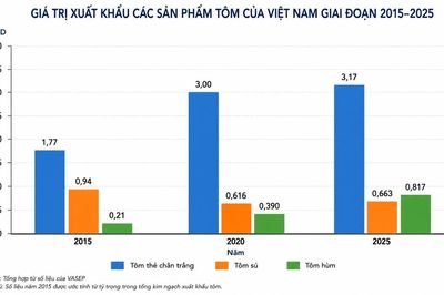 Chiến lược đưa tôm hùm thành ngành hàng xuất khẩu tỷ USD
