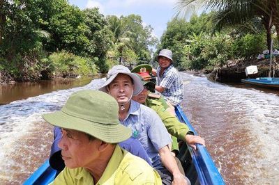 Canh rừng mùa nắng