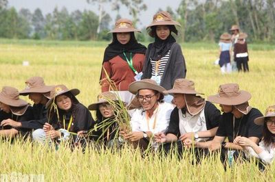 Sinh viên quốc tế trải nghiệm hệ sinh thái nông nghiệp Lộc Trời