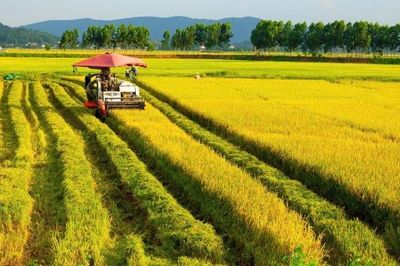 Bắc Ninh: Thu hẹp khoảng cách đô thị và nông thôn